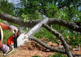 Best Lawn Watering Services  in Calhoun, GA