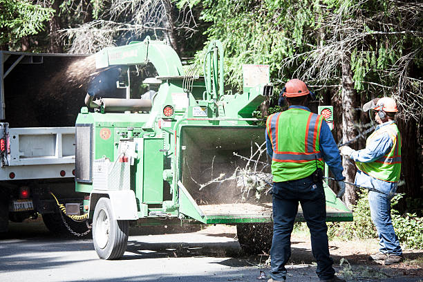 Best Aeration Services  in Calhoun, GA